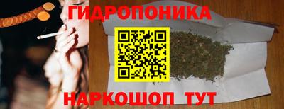 винт Можга