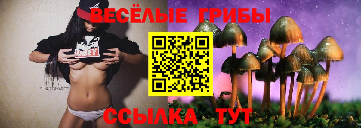 Псилоцибиновые грибы прущие грибы Солнечногорск